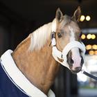 Licol Suave HORSEGEAR Naturel