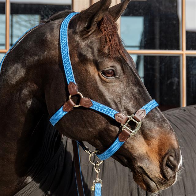 Licol tressé Kentucky Bleu clair