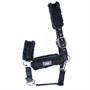 Licol Velvet Horsegear Doré
