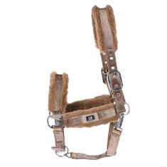 Licol Velvet Horsegear Doré