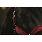 Licol Velvet Kentucky Rouge foncé
