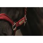 Licol Velvet Kentucky Rouge foncé