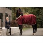 Licol Velvet Kentucky Rouge foncé