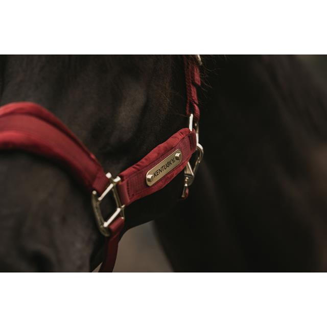 Licol Velvet Kentucky Rouge foncé