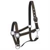 Licol Zari HORSEGEAR Noir-doré