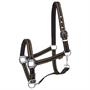 Licol Zari HORSEGEAR Vert foncé