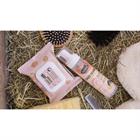 Lingettes nettoyantes Easy Shine Wipe Ravene 