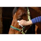 Lingettes nettoyantes Easy Shine Wipe Ravene 