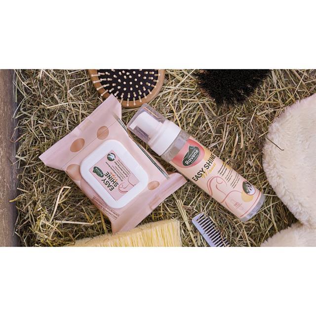 Lingettes nettoyantes Easy Shine Wipe Ravene 