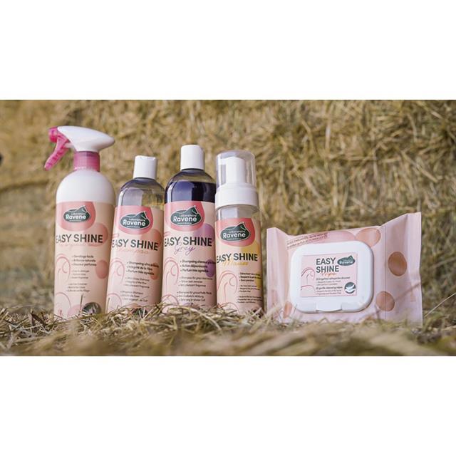 Lingettes nettoyantes Easy Shine Wipe Ravene 