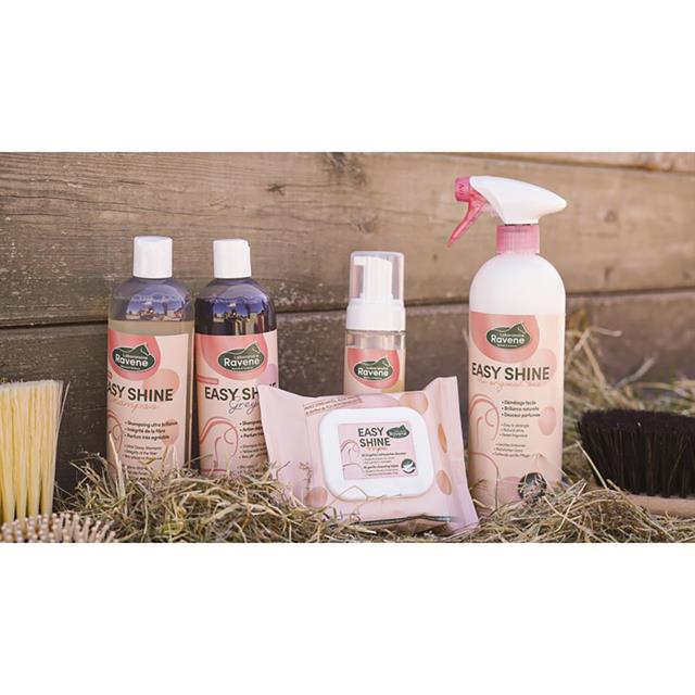 Lingettes nettoyantes Easy Shine Wipe Ravene 