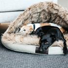 Lit pour chien Igloo Kentucky Marron