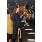 Longe Regular Eskadron Platinum Jaune
