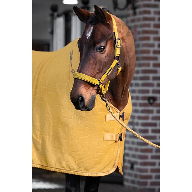 Longe Regular Eskadron Platinum Jaune