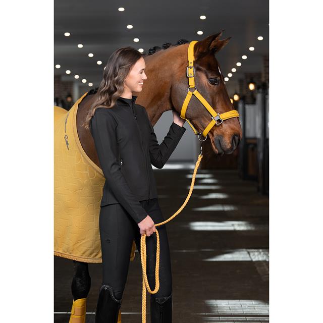 Longe Regular Eskadron Platinum Jaune