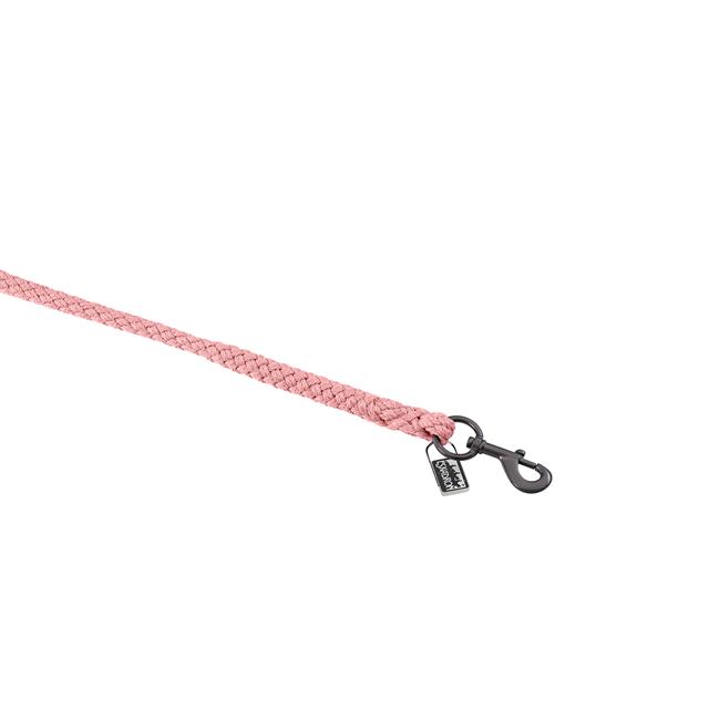 Longe Regular Eskadron Platinum Rose