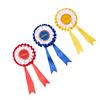 Lot de rosettes 3-Pack Hobby Horse LeMieux Multicolor