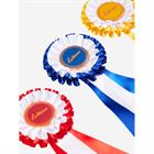 Lot de rosettes 3-Pack Hobby Horse LeMieux Multicolor