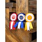 Lot de rosettes 3-Pack Hobby Horse LeMieux Multicolor
