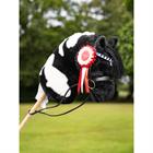 Lot de rosettes 3-Pack Hobby Horse LeMieux Multicolor