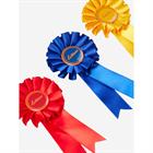Lot de rosettes 3-Pack Toy Pony LeMieux Multicolor