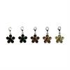 Lucky Charm Flower Kentucky - lot de 5 Vert