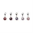 Lucky Charm Kentucky - lot de 5 Multicolor