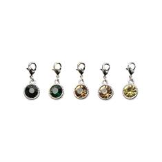 Lucky Charm Kentucky - lot de 5 Vert