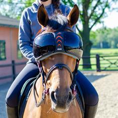 Lunettes de protection cheval Darker eVysor eQuick Noir
