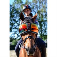Lunettes de protection cheval Rainbow eVysor eQuick Multicolor