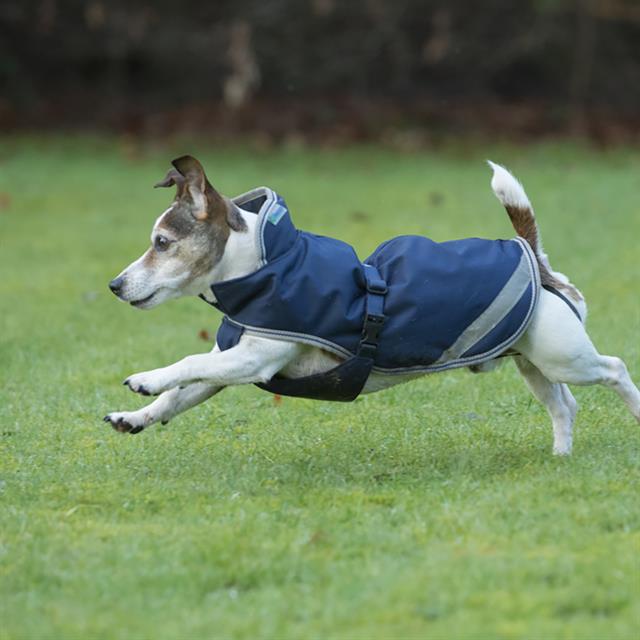 Manteau pour chien 50g Freedom Bucas Bleu foncé-argenté
