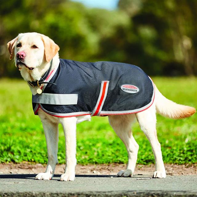 Manteau pour chien ComFiTec 1200D Therapy-Tec WeatherBeeta Blanc-argenté