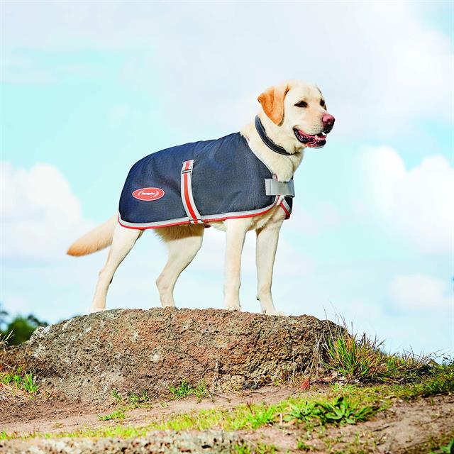 Manteau pour chien ComFiTec 1200D Therapy-Tec WeatherBeeta Blanc-argenté