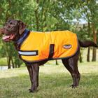 Manteau pour chien ComFiTec Reflective 300D WeatherBeeta Orange