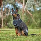 Manteau pour chien ComFiTec Ultra Cozi 100g WeatherBeeta Gris foncé-bleu