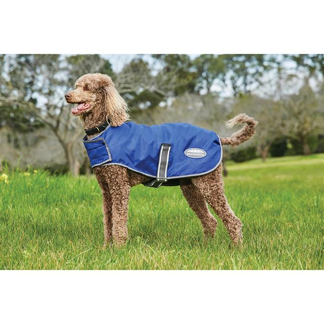 Manteau pour chien ComFiTec Windbreaker Free WeatherBeeta Bleu foncé-argenté