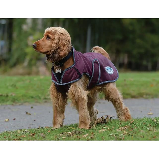 Manteau pour chien ComFiTec Windbreaker Free WeatherBeeta Rouge foncé
