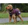 Manteau pour chien ComFiTec Windbreaker Free WeatherBeeta Rouge foncé