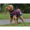 Manteau pour chien ComFiTec Windbreaker Free WeatherBeeta Rouge foncé