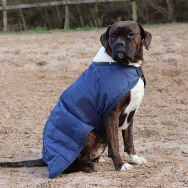 Manteau pour Chien Fur HORSEGEAR Bleu foncé