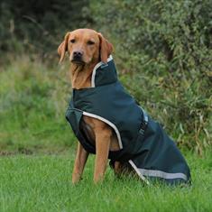 Manteau pour chien Green Line Bucas Vert foncé