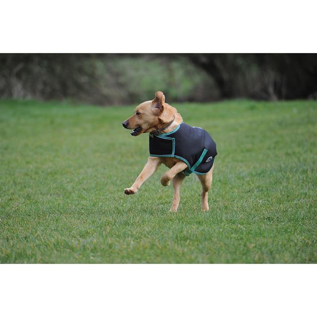 Manteau pour chien Green-Tec 900D 0g WeatherBeeta Noir-vert