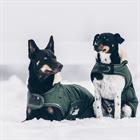 Manteau pour chien imperméable 300 g Kentucky Vert