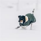 Manteau pour chien imperméable 300 g Kentucky Vert