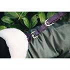 Manteau pour chien imperméable 300 g Kentucky Vert