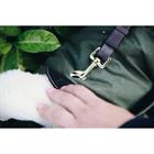Manteau pour chien imperméable 300 g Kentucky Vert
