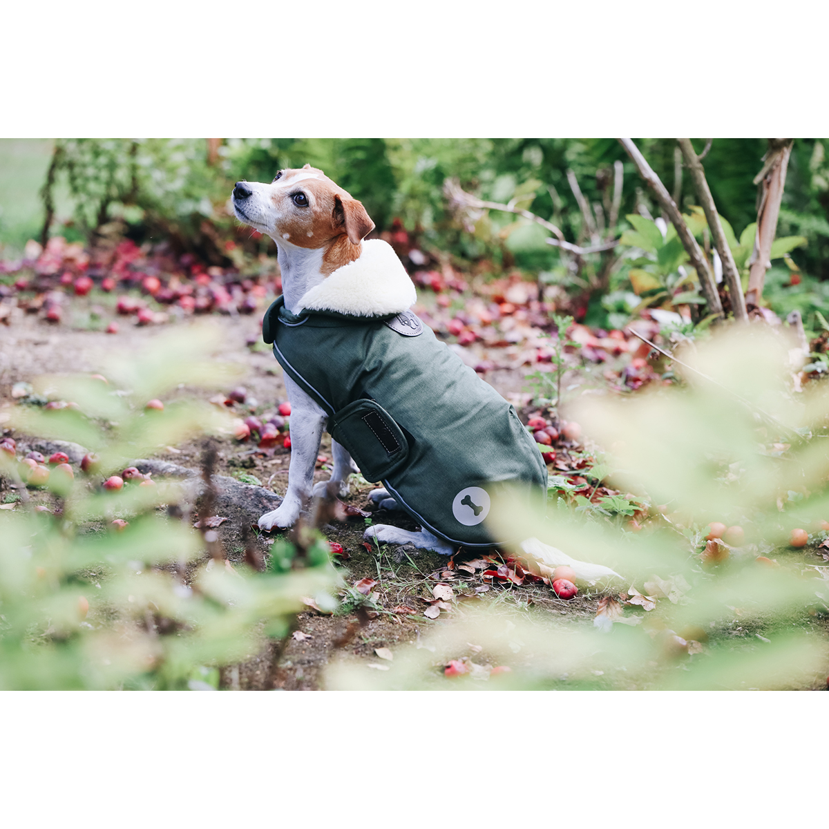 Manteau pour chien impermeable 300 g Kentucky Vert