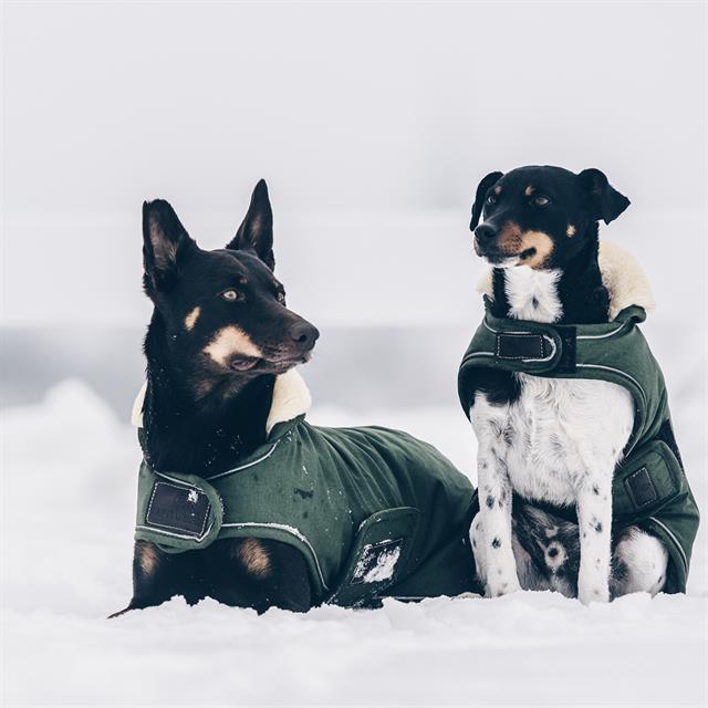 Manteau pour chien imperméable 300 g Kentucky Vert