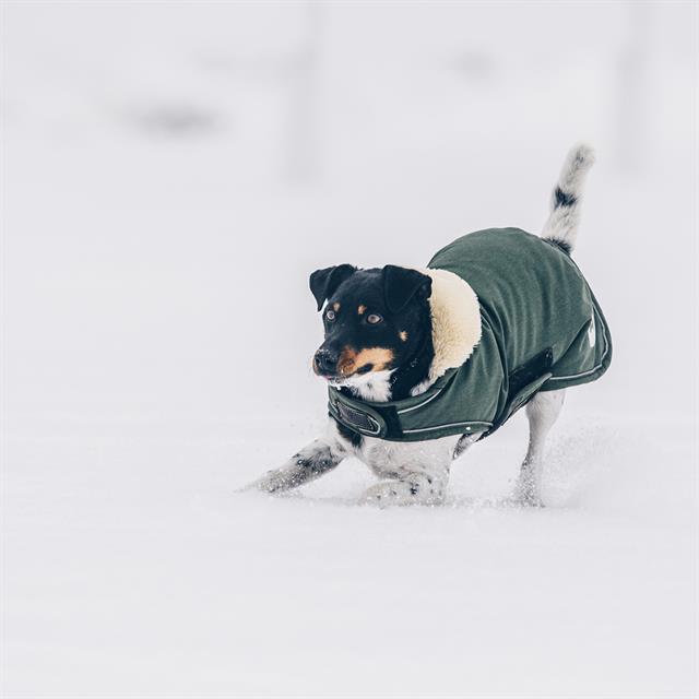 Manteau pour chien imperméable 300 g Kentucky Vert