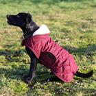 Manteau pour chien Kentucky Rouge foncé